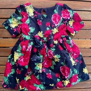 Janie and Jack girls dress 12-18 mos NWT